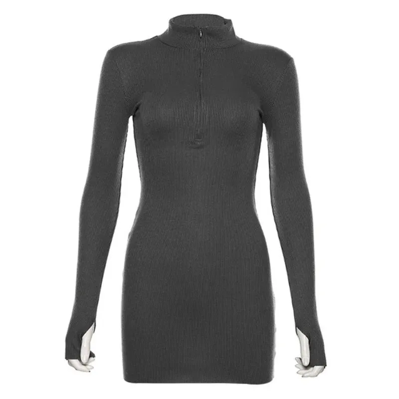 Soft Ribbed Knitted Turtleneck Mini Dress